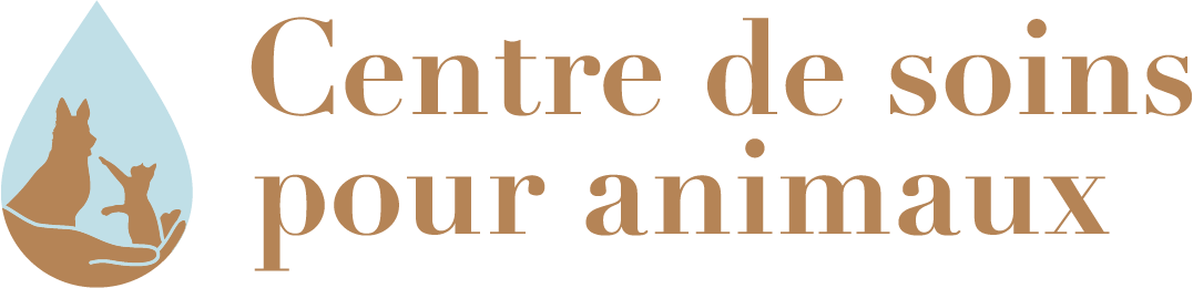 Logo centre de soins