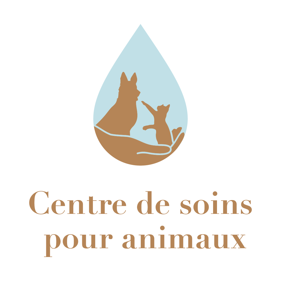 logo centre de soins